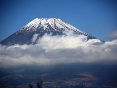 捻挫リハビリ登山・愛鷹山