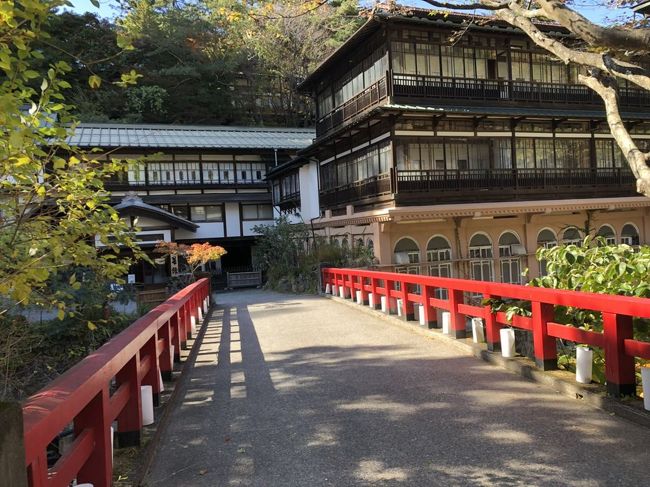 札幌でゆっくりした後、紅葉と温泉を求めて群馬県四万温泉に向かいました。<br />宿は「千と千尋の神隠し」のモデルとも言われる「積善館」。<br />歴史を感じる建物。今にも妖怪が入ってきそうなお風呂。<br />本館湯治棟のお得な「連泊プラン」ですが、お部屋も食事も、そしてお風呂も大満足でした。<br /><br />【旅程】<br />10/16 長沙(湖南省)→上海(上海航空)<br />10/17 上海→新千歳(春秋航空)→札幌(泊)<br />10/18 定山渓温泉(泊)<br />10/19～22 札幌(泊)<br />10/23 新千歳→成田(春秋航空)→上野(泊)<br />&#9899;10/24 上野→四万温泉(泊)<br />&#9899;10/25 四万温泉(泊)<br />10/26 四万温泉→軽井沢(泊)<br />10/27 軽井沢→上野(泊)<br />10/28 上野→横浜(泊)<br />10/29 鎌倉←横浜(泊)<br />10/30 横浜→赤坂(泊)<br />10/31 赤坂(泊)<br />11/1 赤坂(泊)<br />11/2 上野→京成成田(泊)<br />11/3 成田→武漢(春秋航空)→長沙