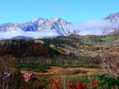 雷鳥探し-3【長野（白馬大池・Hakuba-Ooike）編】