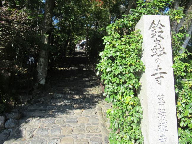 松尾大社と鈴虫寺に行きました。<br />嵐山からバスで南方面へ行き、道なりにあります。<br />七五三詣りの時期で、小さな子供を連れた方々が参拝に訪れている様子。<br /><br />その後に、さらに南方向へ行き、西側に向かうと鈴虫寺があります。<br />その名の通り、約5千匹以上もの鈴虫が境内で飼育されています。<br />年中、四季を問わずに鈴虫が見れます。<br /><br />また、ここの名物としては、鈴虫説法と言われる、お坊さんによる説法が聞けます。<br />これがまたとても愉快で面白いので、ほぼ毎日のように混雑するぐらいの人気です。<br />土日祝日、或いは連休などは、朝から晩までひっきりなしに長蛇の列です。<br /><br />幸福地蔵菩薩と言う、わらじを履いたお地蔵さんが、たった一つだけ願いを叶えに、わざわざ家まで来てくれるそうです。<br />なので、お願い事をすると同時に、住所氏名も同時にお地蔵さんに伝えるそうです。<br />間違っても、声を出してお願いはしない事、心の中でお願いしてくださいとのことです。<br />行くなら、平日の朝からが一番良いかと思います。<br /><br />松尾大社 http://www.matsunoo.or.jp/ <br /><br />妙徳山 華厳寺 通称 鈴虫寺 http://www.suzutera.or.jp/ <br /><br />竹の寺 地蔵院 http://takenotera-jizoin.jp/ 一休さん生誕の寺。<br /><br />京都市観光協会 http://www.kyokanko.or.jp/taxi/taxi_0018.phtml