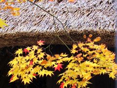 2018年秋栃木県「湯西川温泉」の鮮やかな紅葉に癒されてきました。