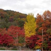 花巻、遠野、気仙沼　２泊旅　１日目