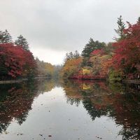 軽井沢は紅葉真っ盛り！　だけど寒い寒い、ほんっと寒い。