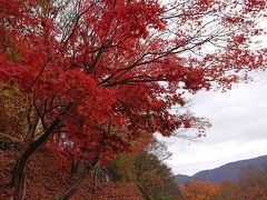 紅葉狩りっていうのやってみた