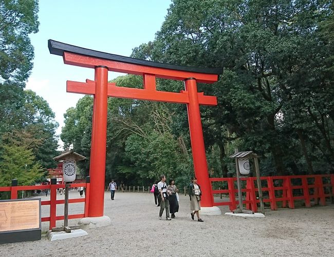 10月末にお友だちと京都へ~♪ご朱印集めてるので神社回ろう!!と秘かに思っていましたが、まさかの御朱印帳を忘れ、食べて飲むだけの旅になりました(笑)<br />
