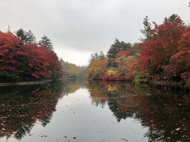 軽井沢は紅葉真っ盛り！　だけど寒い寒い、ほんっと寒い。