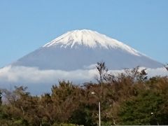 富士山をたくさん見てきました。近くで見るとすごい大きいです。