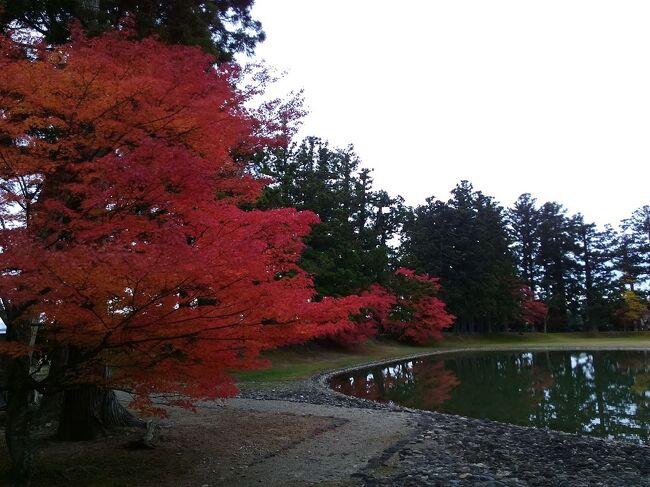 陸奥の紅葉名所を巡る旅 平泉 岩手県 の旅行記 ブログ By Toshikunさん フォートラベル