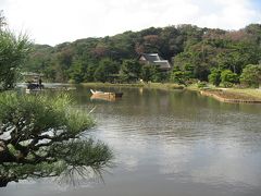 紅葉にはまだ早かった。横浜本牧　三渓園　