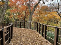 国立公園大山  大山森の遊歩道