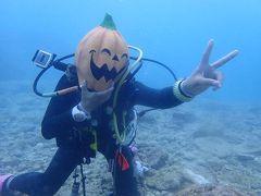 沖縄2018秋（１８）ラストダイブは読谷沖で。海の中で「Ｔｒｉｃｋ or Ｔｒｅａｔ」