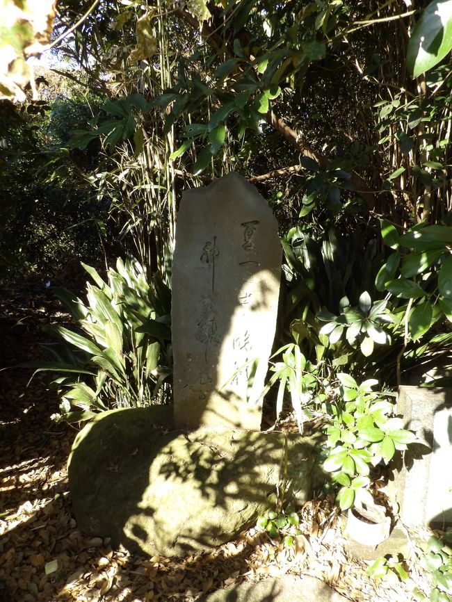 　江の島・江島神社奥津宮から鳥居を潜って稚児ヶ淵に向かう途中に「高木蒼梧の句碑」がある。高木蒼梧の句碑には、「夏富士や　晩籟神を　鎮しむる」とあり、江の島の句碑では春の句が多い中、珍しく夏の句として有名である。<br />　高木蒼梧（明治21年（1888年）～昭和45年（1970年））は、愛知県に生まれ長く大和市下鶴間に住んだ江島神社の宮司で、俳人･俳文学者。本名は錠吉、通称は譲である｡多くの著作があり､昭和35年（1960年）『俳諧人名辞典』(明治書院)により文部大臣賞を受賞した｡これを祝して親交のあった江島神社宮司相原直八郎が昭和36年（1961年）に建てたもので、蒼梧の自筆である｡<br />（表紙写真は高木蒼梧の句碑）