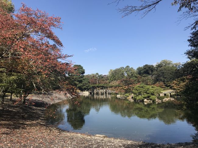 秋の京都２！仙洞御所見学・瓢樹でランチ・俵屋吉富で抹茶・相国寺で鳴き龍・イル・ギオットーネでディナー