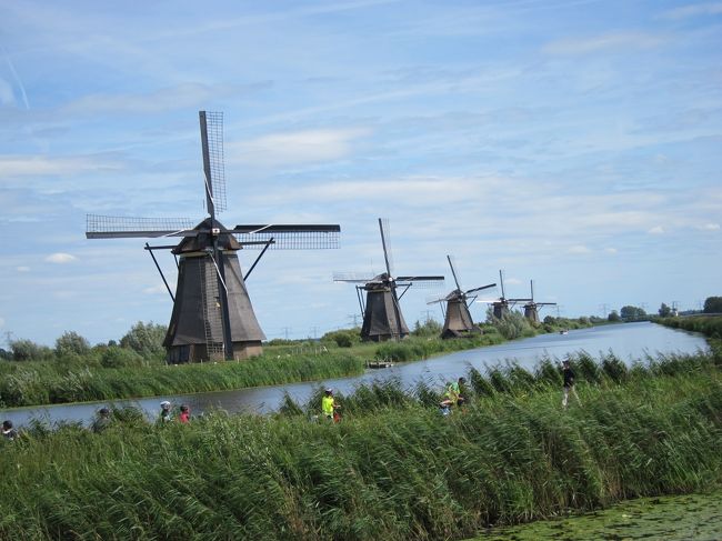 14歳のみっちと行くベルギー、オランダの12日間の旅行の6日目。<br /><br />オランダに行けばどこでも風車が見れる、と思ってたけど、やっぱり現代では残り少なっているらしい。そこで世界遺産にも指定されてるKinderdijkは外せない。オランダの風車事情を調べたところ<br />https://www.kinderdijk.com/activities/<br /><br />かつてはオランダ全土で10,000基以上もあったという風車は、今は10分の1程度まで減ってしまった。そんな中で、19基もの風車が立ちならび、「キンデルダイク＝エルスハウトの風車網」としてユネスコの世界遺産にも登録されているのがKinderdijk、キンデルダイク。<br /><br />Kinderdijk風車群は、大かがりな干拓と治水体系の一部として作られた。<br />Kinderdijk(キンデルダイク)という名前には、のおもしろい由来があり。キンデルダイク（Kinderdijk）はオランダ語で、Kinder＝子どもの、dijk＝堤防という意味です。<br /><br />この地域はたびたび洪水の被害に悩まされており、1421年にエリザベス大洪水が起きます。この時、小さなゆりかごが流れ着いたことから、キンデルダイク（子どもの堤防）と名付けられたそうです。<br /><br />このゆりかごには子どもが乗っていたのでしょうか？<br />乗っていた説、カラだった説、猫が一緒に乗ってバランスを取っていた説など、諸説あるよとの事。名前１つでも歴史あり。面白いですね。<br /><br />★日程はこちら★<br />＊Brüssel　 2泊　8/7～ 8/8<br />【1】三大ガッカリを制覇！<br />https://4travel.jp/travelogue/11404205<br />【2】緑色の秘密<br />https://4travel.jp/travelogue/11410728<br />【3】煌びやかな夜のGrand-Place<br />https://4travel.jp/travelogue/11411497<br /><br />＊Brügge　 2泊 8/9～ 8/10<br />◇【4】Brüggeは今日も雨だった<br />https://4travel.jp/travelogue/11413582<br />◇【5】366段の螺旋階段にヘロヘロになる<br />https://4travel.jp/travelogue/11419152<br /><br />＊Rotterdam　2泊　8/11～ 8/12<br />◇【7】オモロ建築てんこ盛りRotterdam<br />https://4travel.jp/travelogue/11421550<br />◆【8】自転車で行くKinderdijk<br />https://4travel.jp/travelogue/11421652<br /><br />◇Amsterdam　5泊 8/13～ 8/17