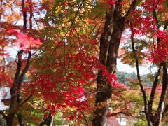 2018年、四国霊場八十八番札所大窪寺の紅葉