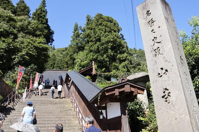 初秋の山形に1泊で行ってきました。最上川の舟下りと山寺をメインに、山形城（霞城）、天童公園、東根温泉を回りました。<br /><br />１日目<br />新幹線で山形へ　→　山形城　→　天童公園　→　東根温泉（宿泊）<br /><br />２日目<br />村山・最上川舟下り（三難所巡り）　→　山寺　→　仙台から新幹線で帰路