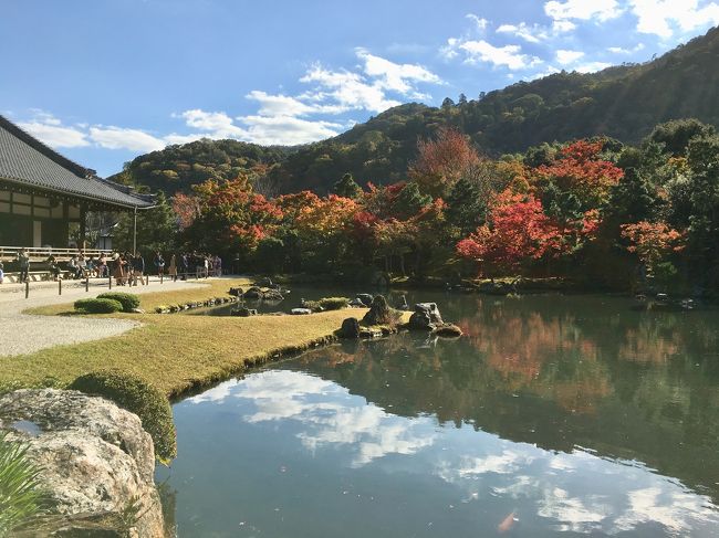 本格的な見頃はもう少し先のようですが、嵐山にフラリと出かけました。<br />地元から京都までは電車で2時間半くらいなので、日帰りでサクッと行ってきました。<br />一年中混雑する京都ですが11月は最も混むと聞いたので、ゆるい予定にしました。