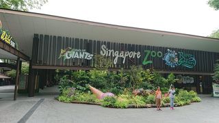 シンガポール２０１８年始その２　シンガポール動物園とSPECTRA