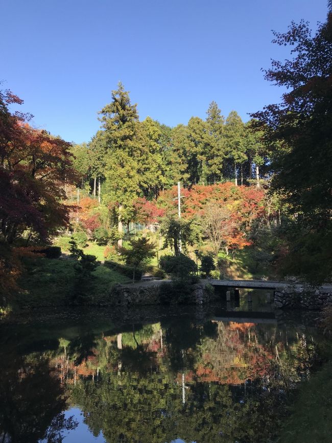 11月中旬の土曜日。<br />とても天気が良い日だったので、どこかに紅葉を見に行こうということになって、ネットで穴場的なスポットを探していたら、兵庫県篠山市に『洞光寺』という寺院があることを見つけ、そんなに混んでなさそうだし紅葉も綺麗そうだし...<br />とりあえず出かけてみることにしました！<br />紅葉狩りの後に立ち寄った隠れ家的『アニス』というカフェも併せてご紹介しま～す！