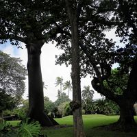 ハワイ　TheBus １－DAY PASSで植物園巡りinオアフ島１～2日目ハワイ州立美術館・フォスターボタニカルガーデンと夜に嬉しいプチ・オフ会