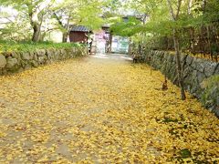 滋賀の紅葉　教林坊・長命寺・湖南三山