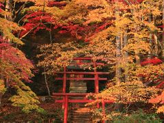 兵庫　紅葉めぐり～洞光寺、慧日寺、小新屋観音、荘厳寺、西林寺