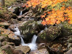 錦秋の宇津江四十八滝♪　期待以上の美しい紅葉と連続する滝の美しさに感動♪