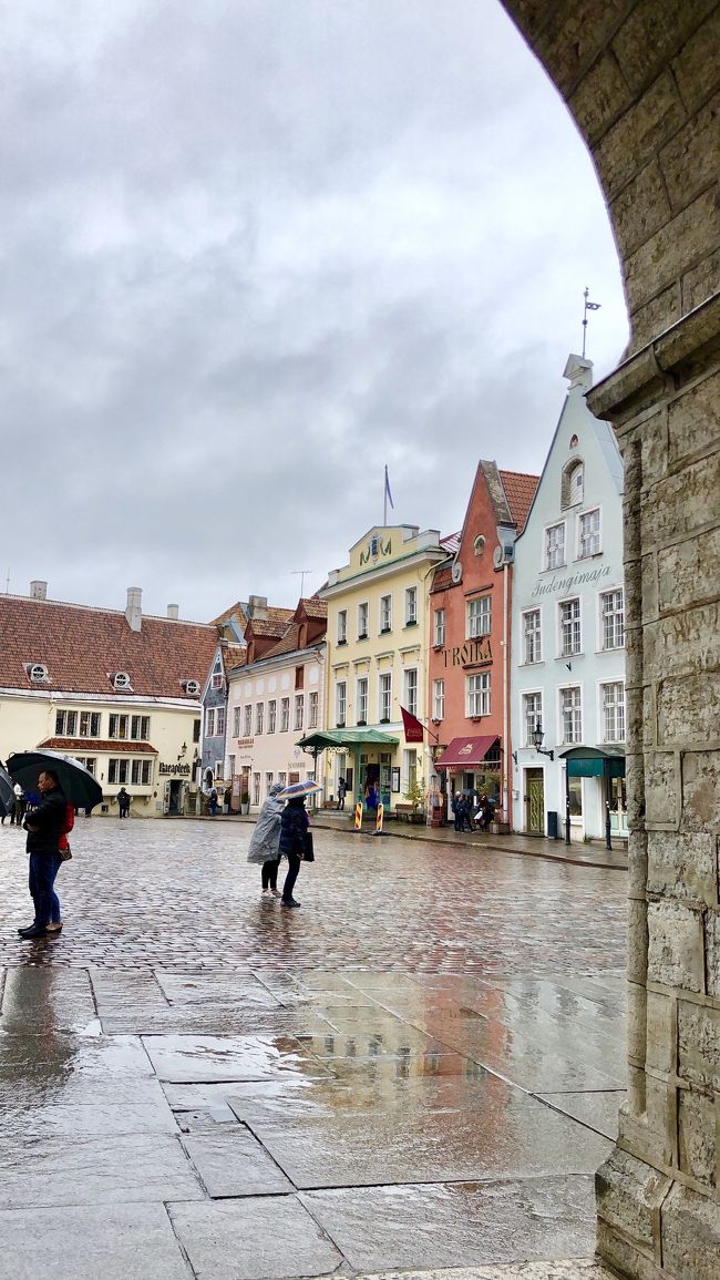 秋のひとり旅へいってきました。<br />行き先は治安がいいことで知られる北欧。英語を話せなくても、女一人でも、なんら問題なしの平和な旅でした。<br /><br />2018/10/03 成田空港→ヴァンター空港<br />2018/10/04 ヘルシンキ<br />2018/10/05 ヘルシンキ<br />★2018/10/06 タリン<br />2018/10/07 ストックホルム<br />2018/10/08 ストックホルム<br />2018/10/09 アーランダ空港→ヴァンター空港→成田空港<br /><br />もう一ヶ月ほど前になるので記憶を呼び起こしながらゆっくり更新していこうかと思います。。<br /><br /><br />【4日目メモ(10/6)】<br />天気:雨雨雨、最高気温:10℃、最低気温:6℃<br />服装:キャミソール、薄手のニット、ロングダウン、ワイドパンツ、靴下、マーチンブーツ、マフラー<br />感想:ロングダウンをレインコート代わりに。ニットだと歩くと少し暑いような。