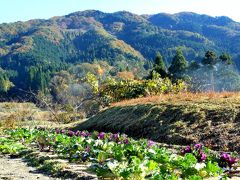 曽良山（７１２ｍ）と曽木公園の紅葉