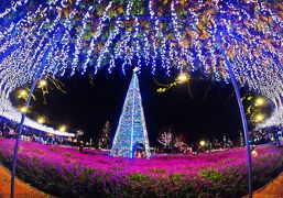 紫仔の輪舞－淡く儚い 蝶の夜会－【日本三大イルミ☆2018 第1位★光の花の庭／あしかがフラワーパーク 】