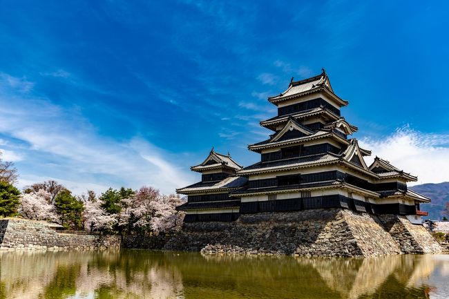 松本/浅間エリアを巡る旅。<br />北アルプスを背景に季節ごとのイベントも開催されており春夏秋冬、訪れる価値のある”国宝”松本城、土蔵造りの街並みの中町通りやなわて通りなど風情ある城下町も楽しめる松本、松本から近くにある武士達の奥座敷として知られた浅間温泉、国宝と風情ある街並みを楽しめる松本/浅間エリアをぐるりと巡ってみました。<br /><br />□■□■□■□■□■□■□■□■□■□■□■□■□■□■□■<br /><br />松本/浅間ぐるり旅、今回は桜満開のお花見シーズンの”国宝”松本城へ行って来ました。到着した時間はお昼前、松本城周辺の駐車場はお花見観光客で満車が多かったのですが偶然空いていた近隣駐車場に止めることができました。天守閣は待ち時間が発生するほど混みあっていたため今回は断念しましたが、周辺の桜と松本城の写真を撮影できてたいへん満足しました。高遠城に続き日本100名城シリーズも増えてきましたが、すべてを訪れるのはしばらく先になりそうです。<br /><br />□■□■□■□■□■□■□■□■□■□■□■□■□■□■□■<br /><br />＜松本城＞<br />https://www.matsumoto-castle.jp/<br /><br />≪日本100名城≫<br />http://www7a.biglobe.ne.jp/~nihonjokaku/100meijo.html<br />【1】佐倉城(千葉)<br />http://4travel.jp/traveler/dekadora/album/10551219/<br />【2】今帰仁城(沖縄)<br />http://4travel.jp/traveler/dekadora/album/10593735/<br />【3】首里城(沖縄)<br />http://4travel.jp/traveler/dekadora/album/10595770/<br />【4】甲府城(山梨)<br />http://4travel.jp/traveler/dekadora/album/10727660/<br />【5】武田氏館(山梨)<br />http://4travel.jp/traveler/dekadora/album/10733447/<br />【6】鑁阿寺(栃木)<br />http://4travel.jp/traveler/dekadora/album/10800922/<br />【7】小田原城(神奈川)<br />https://4travel.jp/travelogue/10850985<br />【8】高遠城址公園(長野)<br />https://4travel.jp/travelogue/11410226<br />【9】松本城(長野)<br />https://4travel.jp/travelogue/11422162<br /><br />□■□■□■□■□■□■□■□■□■□■□■□■□■□■□■<br /><br />＜信州長野ぐるり旅＞<br />【1】地獄谷野猿公苑<br />https://4travel.jp/travelogue/10630325<br />【2】湯田中渋温泉郷　星川温泉　水明館<br />https://4travel.jp/travelogue/10631149<br />【3】信州善光寺<br />https://4travel.jp/travelogue/10631163<br />【4】松代象山地下壕<br />https://4travel.jp/travelogue/10631170<br />【5】大王わさび農場＆犀川白鳥湖<br />https://4travel.jp/travelogue/10631180<br />【6】春日城址公園（桜）<br />https://4travel.jp/travelogue/11405554<br />【7】六道の堤（桜）<br />https://4travel.jp/travelogue/11407904<br />【8】高遠城址公園（桜）前編<br />https://4travel.jp/travelogue/11410226<br />【9】高遠城址公園（桜）後編<br />https://4travel.jp/travelogue/11411646<br />【10】立石公園<br />https://4travel.jp/travelogue/11414906<br />【11】高島城（桜）<br />https://4travel.jp/travelogue/11416704<br />【12】松本城（桜）<br />https://4travel.jp/travelogue/11422162