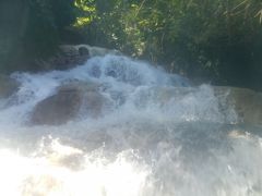 セントアン ダンズリバーの滝 (Dunn's River Falls, St. Ann)