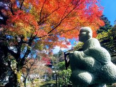 箱根の紅葉 仙石原のススキ 竜宮殿でゴージャス温泉