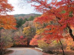 紅葉の龍王峡散策と、もみじライン（日塩有料道路）と、日光の社寺ライトアップ