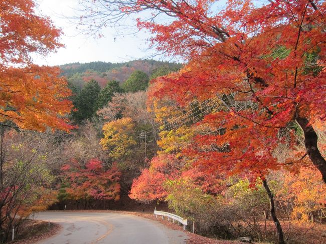 紅葉の美しい龍王峡を散策、もみじラインをドライブして、日光の寺院のライトアップを楽しんできました。