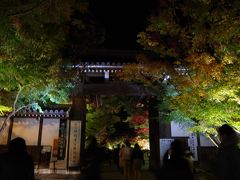 そうだ、京都へいこー。ふらっと紅葉狩りへ