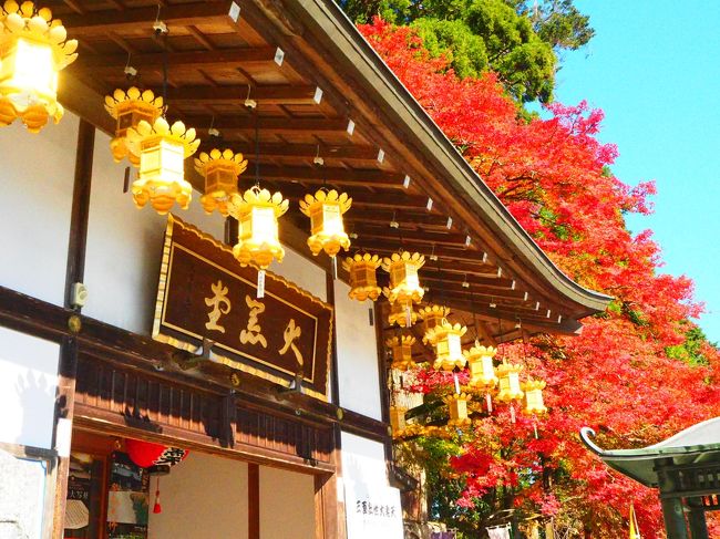 京都の山寺が紅葉が見頃だというので、比叡山、大原、高雄に1泊2日で行ってきました！<br />
