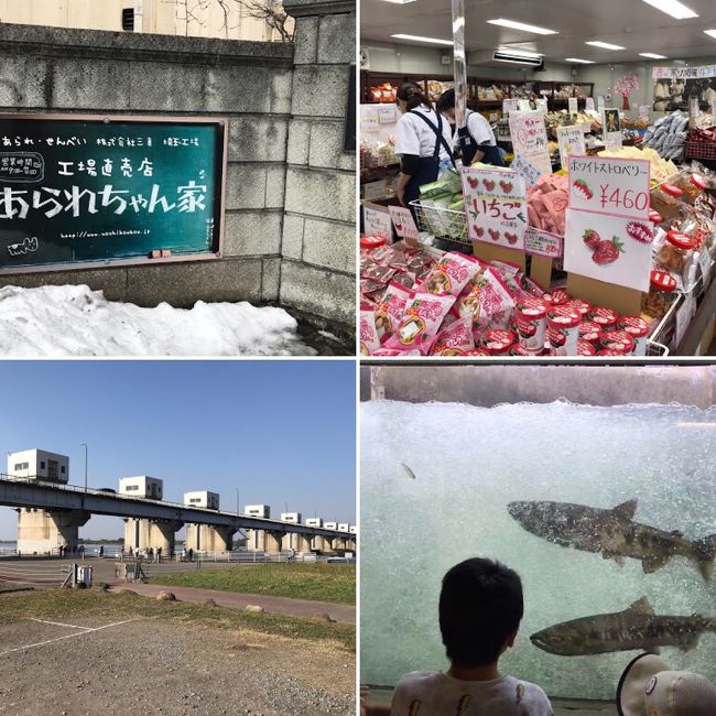 日本最南端の鮭の遡上ポイント。関東でも見れちゃうんんです。不覚にも感涙しちゃうかも!?そして、TVでも話題沸騰中の「あられちゃん家」。ほとんど全ての商品の試食が自由にできます。食べ過ぎ買いすぎご用心！