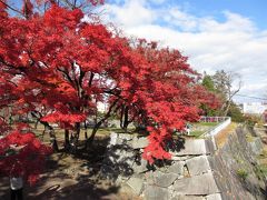 晩秋の盛岡～城址に紅葉が揺れて