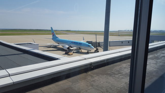 新潟⇔仁川<br /><br />チケットは大韓航空の公式サイトより購入。往復で33000円くらいでした。<br /><br />ネットでなんとなく見ていた板門店。何度か見ているうちにど~しても自分の目で見たくなってしまい…人生初の海外一人旅に至りました。<br />わりと出不精で旅行や海外になんか全く興味がなかった自分が、いろんな場所に行きたい!と目覚めてしまった旅であります…。<br />人生何があるかわからないもんです…。