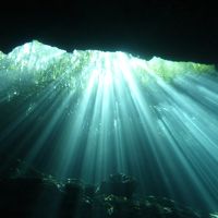 カリブ海とセノーテでダイビング