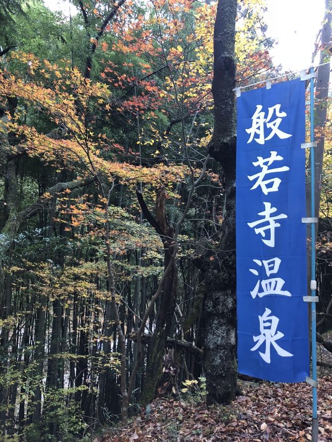 お腹すいたし~<br />温泉入りたいし~<br />きれいな物見たいし~<br /><br />この願望をカバーできる場所…<br /><br />奥津峡に決定!<br /><br />入りたかった般若寺温泉予約からの<br />プランスタート~<br /><br />