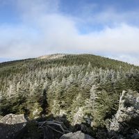 奥多摩探検隊、北八ヶ岳へ行く！１日目《樹氷と薪ストーブ編》