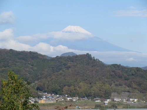 ジャパン 専用火山さん 車検用 - replusluxury.com.ar