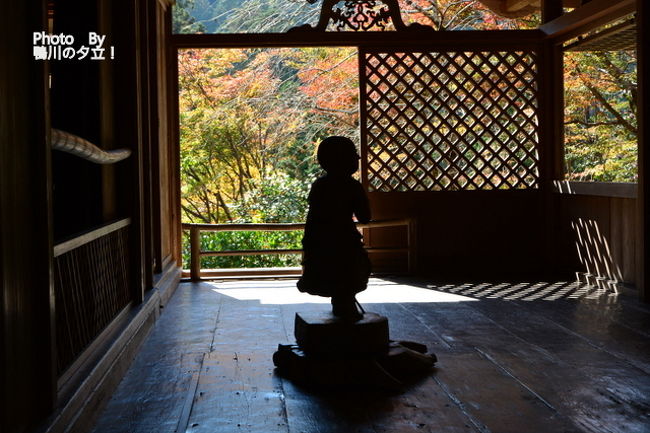 せっかくの紅葉なので久しぶりに個別のアップを致します。<br />華厳宗　栂尾山　高山寺の紅葉です。過去の写真を確認したところ前回の紅葉撮影からすでに4年経っていました。<br />台風の影響も気になり今年訪問しました。<br />台風で一部立入禁止になっていましたが沢山の方が拝観されていました。