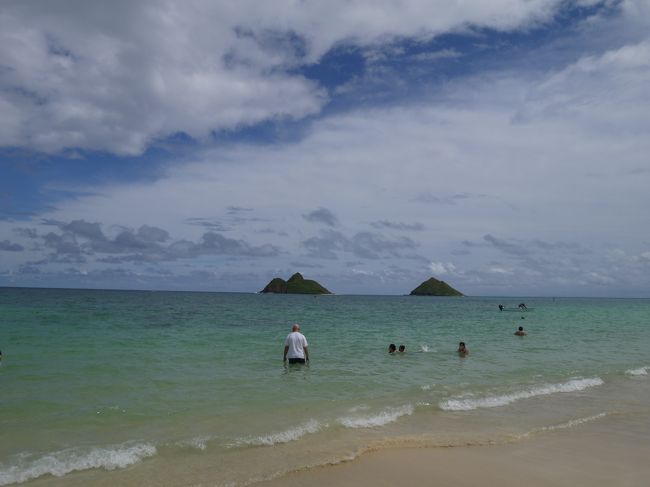 2日目からの続きです。<br /><br />3年ぶりのハワイ旅行は初の子連れ旅行。<br />こちらでいろんな方の子連れ旅行の旅行記読んで参考にして行きました。<br />これから子連れ旅行をする方の参考になるかはわかりませんが、<br />読んで頂けたら幸いです。<br />途中寄った場所などで利用したトイレにオムツ替えの台があるか書いてあります。<br /><br />メンバーは<br />夫<br />私(コロタン)<br />息子(コロ助、2歳3か月)<br /><br />航空券: JAL特典航空券1名分+大人1名¥112,190+子供1名¥88,650<br />ホテル:ワイキキバニアン(Airbnb利用)¥161,669<br />レンタカー:ハーツレンタカー フルサイズ8日間 $393.22<br /><br />10/16 JAL780 NRT20:40 HNL8:50着<br />10/23 JAL789 HNL14:50 NRT18:30着