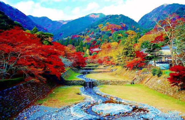 養老公園の紅葉 養老 岐阜県 の旅行記 ブログ By Ryujiさん フォートラベル