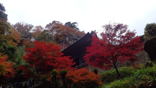 過去ツアーで訪れたことはあるけど、団体旅行ゆえの悲しさで、じっくり見て回れなかった観光地の数々…<br />そんな場所を再度個人で訪れて、心ゆくまで見て回りたい…という願いは常に胸の内にある訳で(^^ゞ<br />今回の旅行もそんな思いで計画したうちの一つ、またまた大好きな東北で、どうせなら紅葉の楽しめる時期に…と、毎度半年ぐらい前から予約して、いざ実行に移してみると…思わぬ記憶違い！？で、ちょいあらら…な思いもしたけれど（笑）、終わってみればやはり「行って良かったぁ～！！」な旅の記録…いつも通り備忘録代わりですが、少しでもどなたかの参考になれば幸いです(*^｡^*)<br /><br />宿泊<br />１日目　松島　小松館好風亭<br />２日目　川渡温泉　山ふところの宿みやま<br />３日目　東鳴子温泉　旅館大沼<br />４日目　赤倉温泉　しゃくなげ荘<br />５日目　かみのやま温泉　葉山館<br />立ち寄り湯　中山平温泉　うなぎ湯の宿　旬樹庵琢ひで<br /><br />※長いんで分けました(^◇^;)<br />後半は「旅館大沼」チェックアウト後から