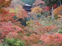 高源寺へ