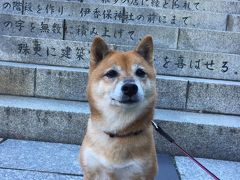 ワンコと旅行♪紅葉を求めて…群馬へ【前編】伊香保温泉の石段を歩いたよー